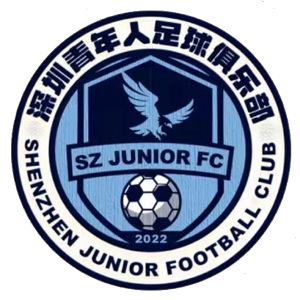 深圳青年人 vs 广西恒宸
