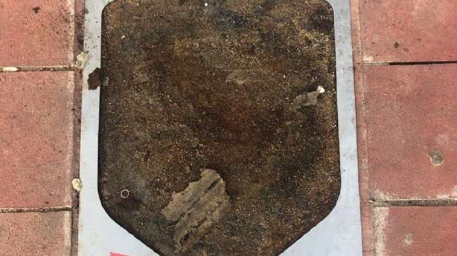 荷兰vs瑞典录像回放_荷兰vs瑞典免费观看直播在线_荷兰vs瑞典精彩集锦回放