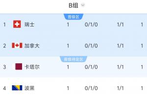 四队各得1分！世界杯B组依纪律及世界排名排序，瑞士一黄居首，波黑三黄垫底