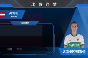 埃尔切中卫阿芬格鲁伯集锦：高空争顶能力优秀 出球较不稳定