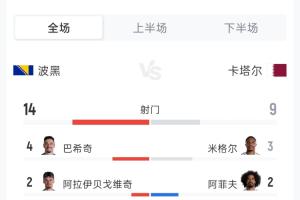 波黑对阵卡塔尔全场数据：射门14次对9次，射正5次对3次，角球5次对5次，黄牌0次对1次