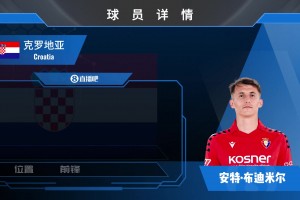 布迪米尔集锦：克罗地亚的底牌？站桩争顶作用显著的左脚中锋
